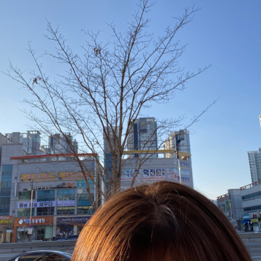 포토리뷰 6