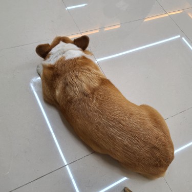 포토리뷰 4