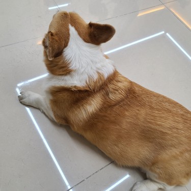 포토리뷰 3