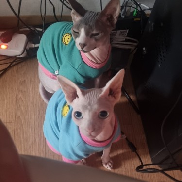 포토리뷰 4