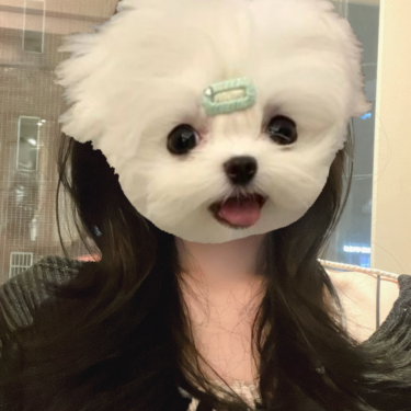 포토리뷰 3