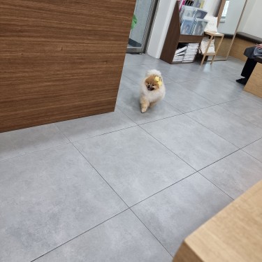 포토리뷰 4