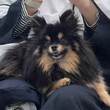 포토리뷰 6