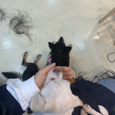포토리뷰 1