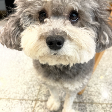 포토리뷰 3