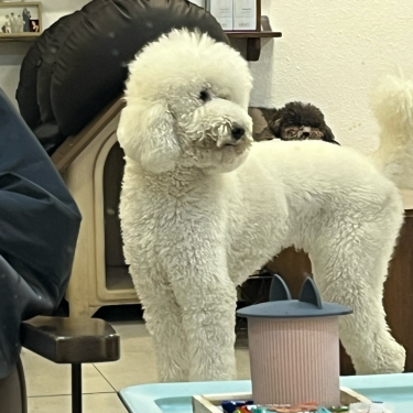 포토리뷰 2