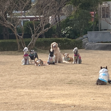 포토리뷰 3