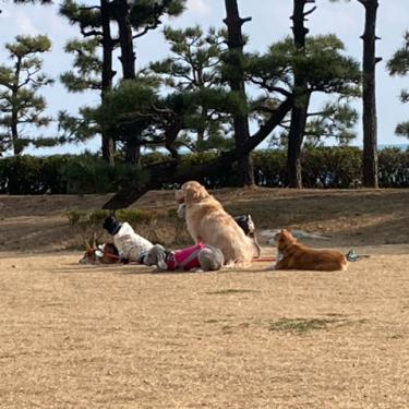 포토리뷰 2