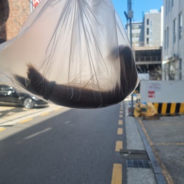 포토리뷰 7