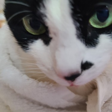 포토리뷰 1