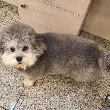 포토리뷰 3