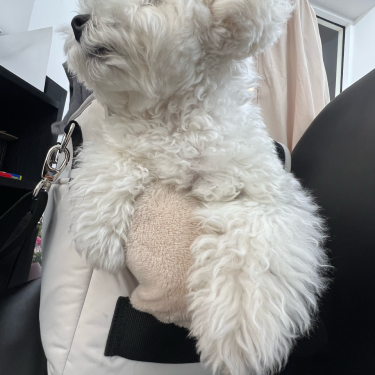 포토리뷰 1