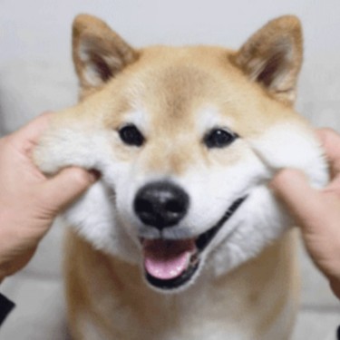 포토리뷰 1
