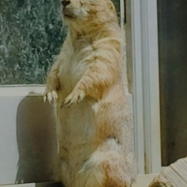 포토리뷰 4