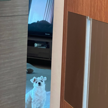 포토리뷰 6