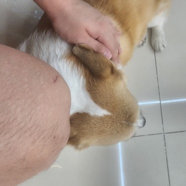 포토리뷰 1