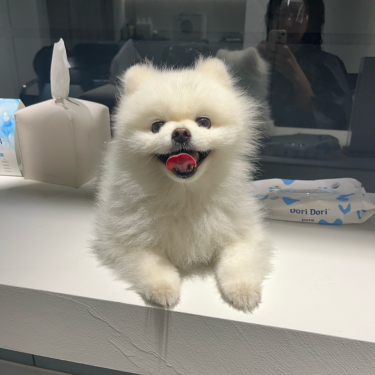 포토리뷰 3