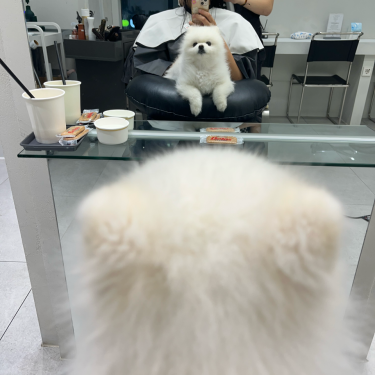 포토리뷰 2