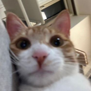 포토리뷰 3
