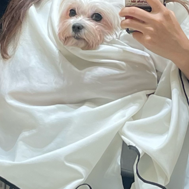 포토리뷰 4