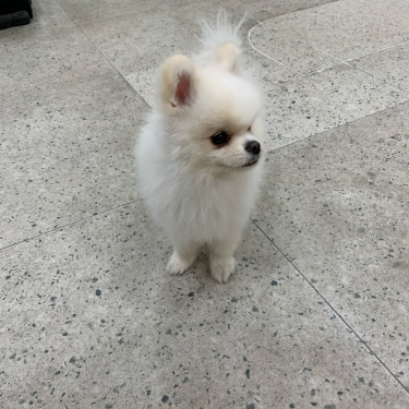 포토리뷰 1