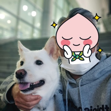 포토리뷰 8