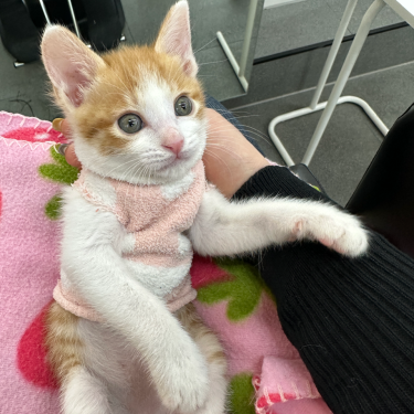 포토리뷰 7