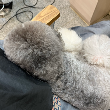 포토리뷰 4