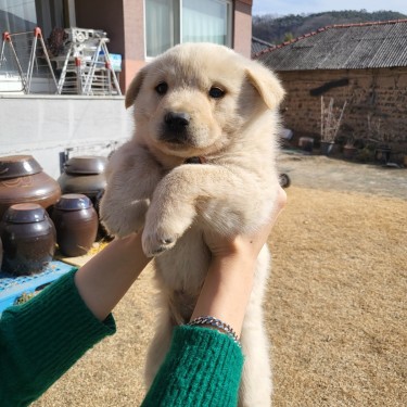포토리뷰 1