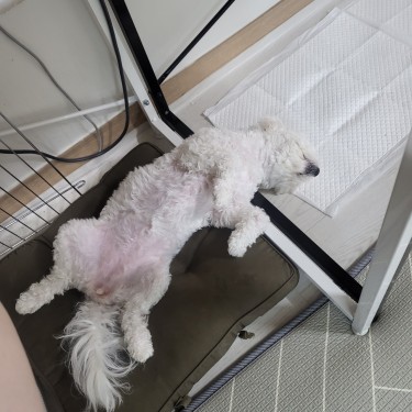 포토리뷰 2