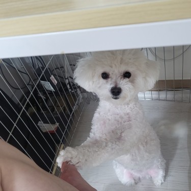 포토리뷰 1