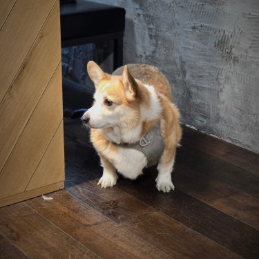 포토리뷰 2