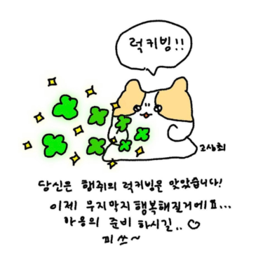 포토리뷰 3