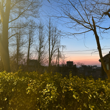 포토리뷰 3