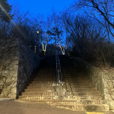 포토리뷰 2