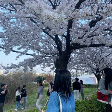 포토리뷰 8