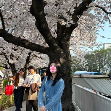 포토리뷰 7