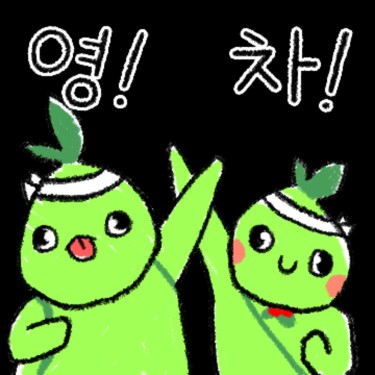 포토리뷰 5