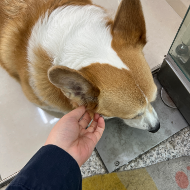 포토리뷰 4