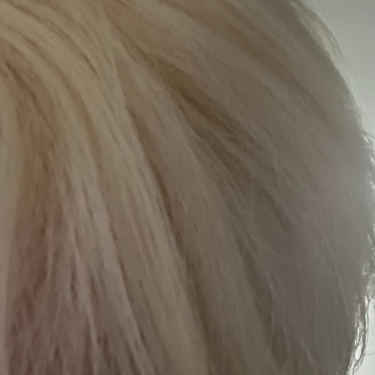 포토리뷰 1