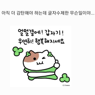 포토리뷰 6