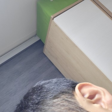 포토리뷰 8