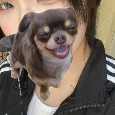 포토리뷰 3