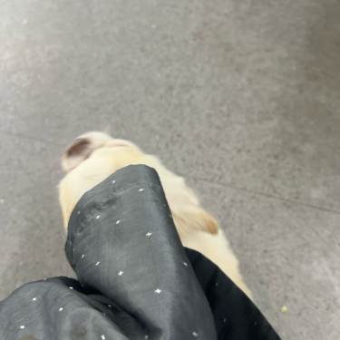 포토리뷰 3