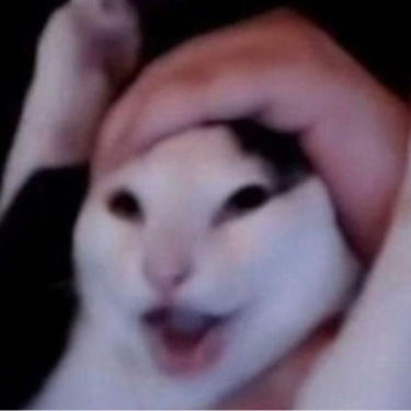 포토리뷰 8