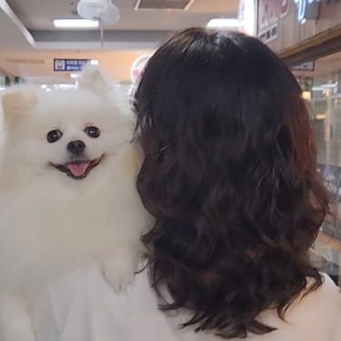 포토리뷰 4