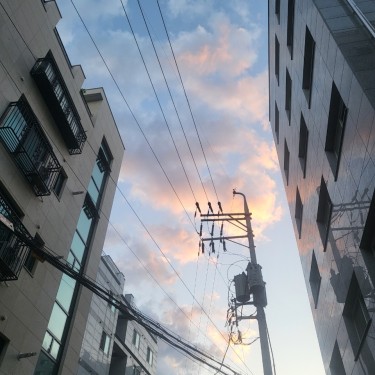 포토리뷰 7