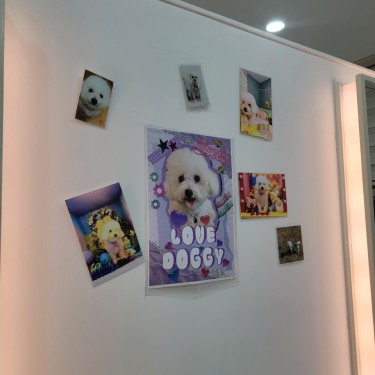 포토리뷰 2