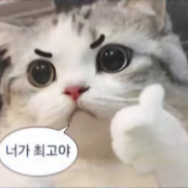 포토리뷰 4