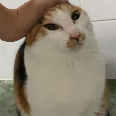 포토리뷰 3